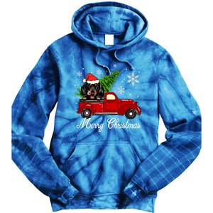 Dachshund Dog Riding Red Truck Christmas Decorations Pajama Cool Gift Tie Dye Hoodie