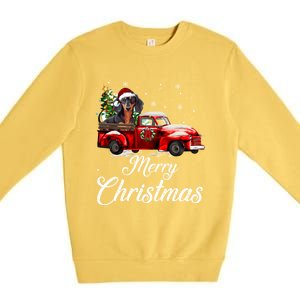 Dachshund Dog Riding Red Truck Christmas Decorations Pajama Gift Premium Crewneck Sweatshirt