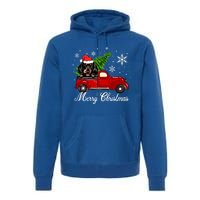 Dachshund Dog Riding Red Truck Christmas Decorations Pajama Gift Premium Hoodie