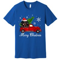 Dachshund Dog Riding Red Truck Christmas Decorations Pajama Gift Premium T-Shirt