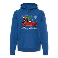 Dachshund Dog Riding Red Truck Christmas Decorations Pajama Gift Premium Hoodie