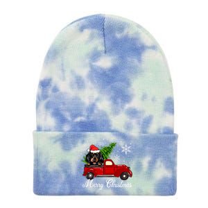 Dachshund Dog Riding Red Truck Christmas Decorations Pajama Cute Gift Tie Dye 12in Knit Beanie