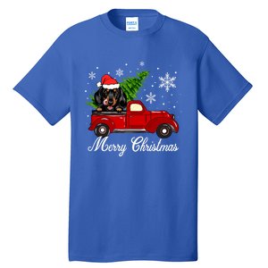 Dachshund Dog Riding Red Truck Christmas Decorations Pajama Gift Tall T-Shirt