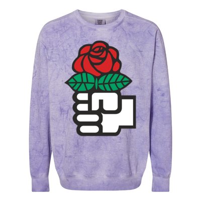 Dsa Democratic Socialists America Flowers Gift Meaningful Gift Colorblast Crewneck Sweatshirt