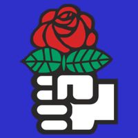 Dsa Democratic Socialists America Flowers Gift Meaningful Gift V-Neck T-Shirt