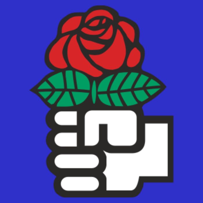 Dsa Democratic Socialists America Flowers Gift Meaningful Gift V-Neck T-Shirt
