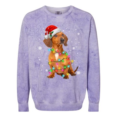 Dachshund Dogs Tree Christmas Xmas Funny Gift For Pet Dog Gift Colorblast Crewneck Sweatshirt