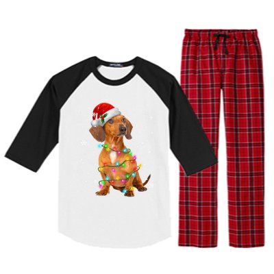 Dachshund Dogs Tree Christmas Xmas Funny Gift For Pet Dog Gift Raglan Sleeve Pajama Set