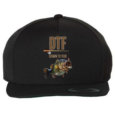 DTF Down To Fishing Adult Humor Funny Fisherman Wool Snapback Cap