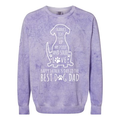 Dog Dad Thanks For Picking Up Colorblast Crewneck Sweatshirt