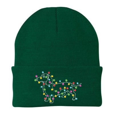 Dachshund Dogs Tree Christmas Sweater Xmas Gifts For Pet Dog Knit Cap Winter Beanie