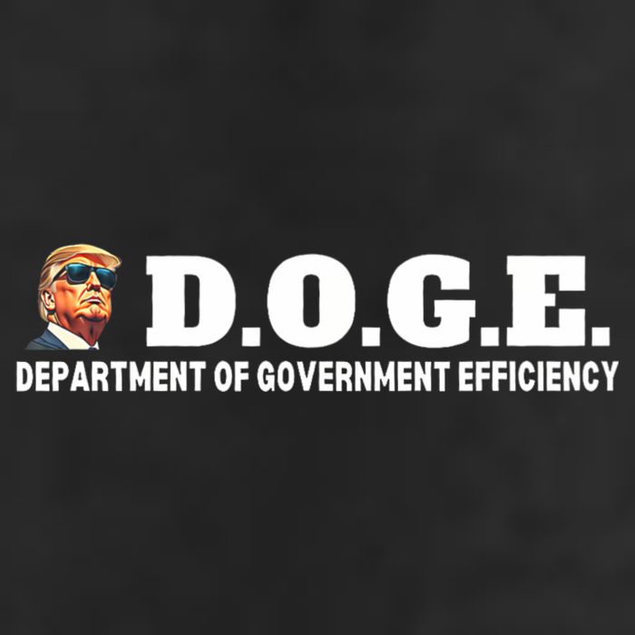 D.O.G.E. Doge Trump Department Of Government Efficiency 7 Panel Mesh Trucker Snapback Hat