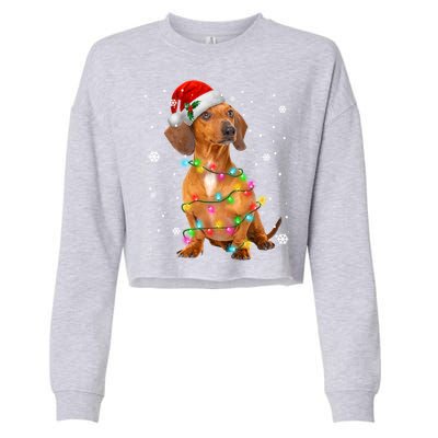 Dachshund Dogs Tree Christmas Sweater Xmas Funny Gift For Pet Dog Gift Cropped Pullover Crew