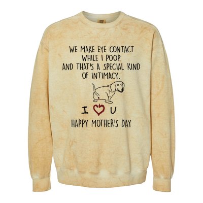 Dachshund Dog We Make Eye Contact While I Poop Happy Mothers Day Funny Gift Colorblast Crewneck Sweatshirt