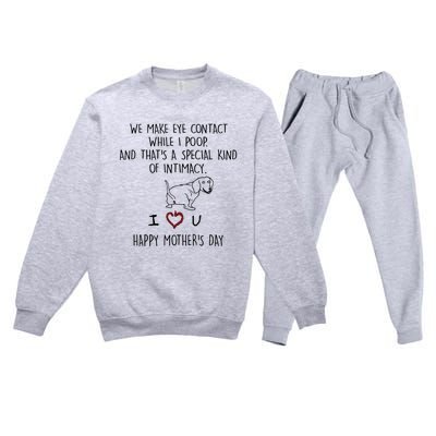 Dachshund Dog We Make Eye Contact While I Poop Happy Mothers Day Funny Gift Premium Crewneck Sweatsuit Set