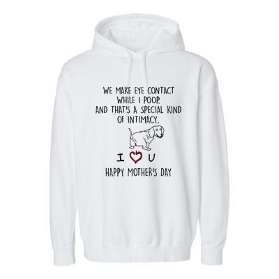 Dachshund Dog We Make Eye Contact While I Poop Happy Mothers Day Funny Gift Garment-Dyed Fleece Hoodie