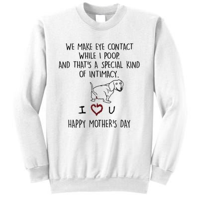 Dachshund Dog We Make Eye Contact While I Poop Happy Mothers Day Funny Gift Sweatshirt