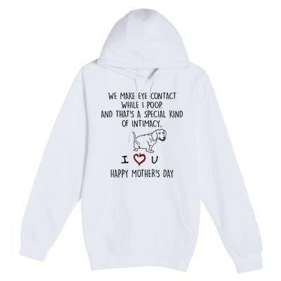 Dachshund Dog We Make Eye Contact While I Poop Happy Mothers Day Funny Gift Premium Pullover Hoodie