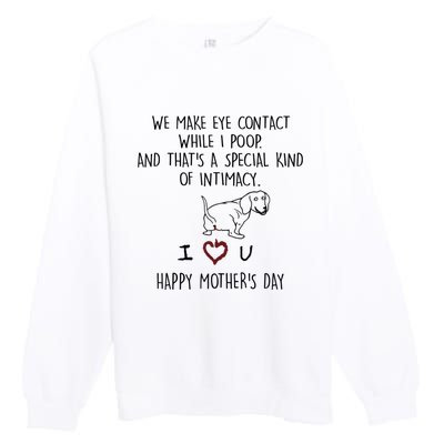 Dachshund Dog We Make Eye Contact While I Poop Happy Mothers Day Funny Gift Premium Crewneck Sweatshirt