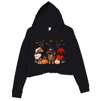 Dachshund Dog Witch Mummy Pumpkin Halloween Spooky Season Gift Crop Fleece Hoodie