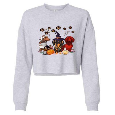 Dachshund Dog Witch Mummy Pumpkin Halloween Spooky Season Gift Cropped Pullover Crew