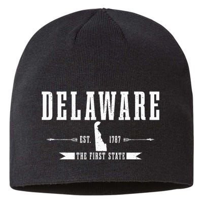 Delaware Est. 1787 The First State Pride State Map Vintage Sustainable Beanie