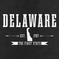 Delaware Est. 1787 The First State Pride State Map Vintage Tumbler