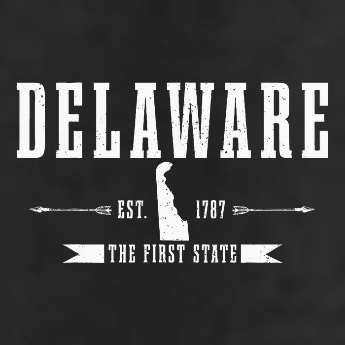 Delaware Est. 1787 The First State Pride State Map Vintage Tumbler