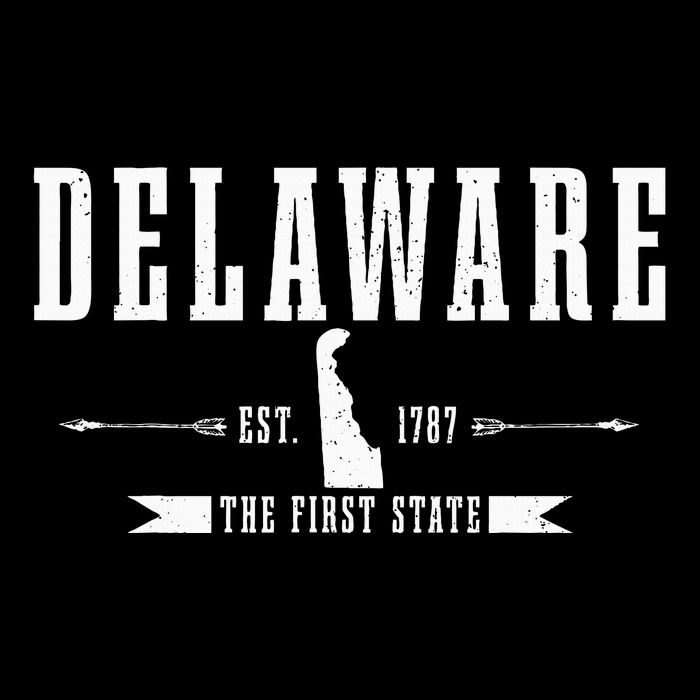 Delaware Est. 1787 The First State Pride State Map Vintage Women's V-Neck T-Shirt