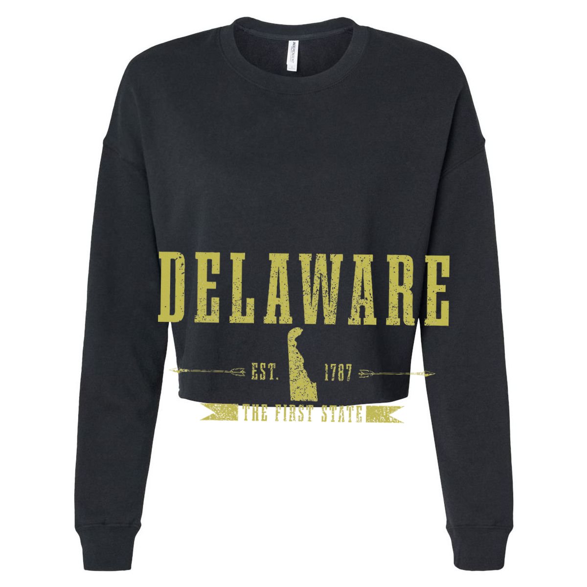 Delaware Est. 1787 The First State Pride State Map Vintage Hoodie