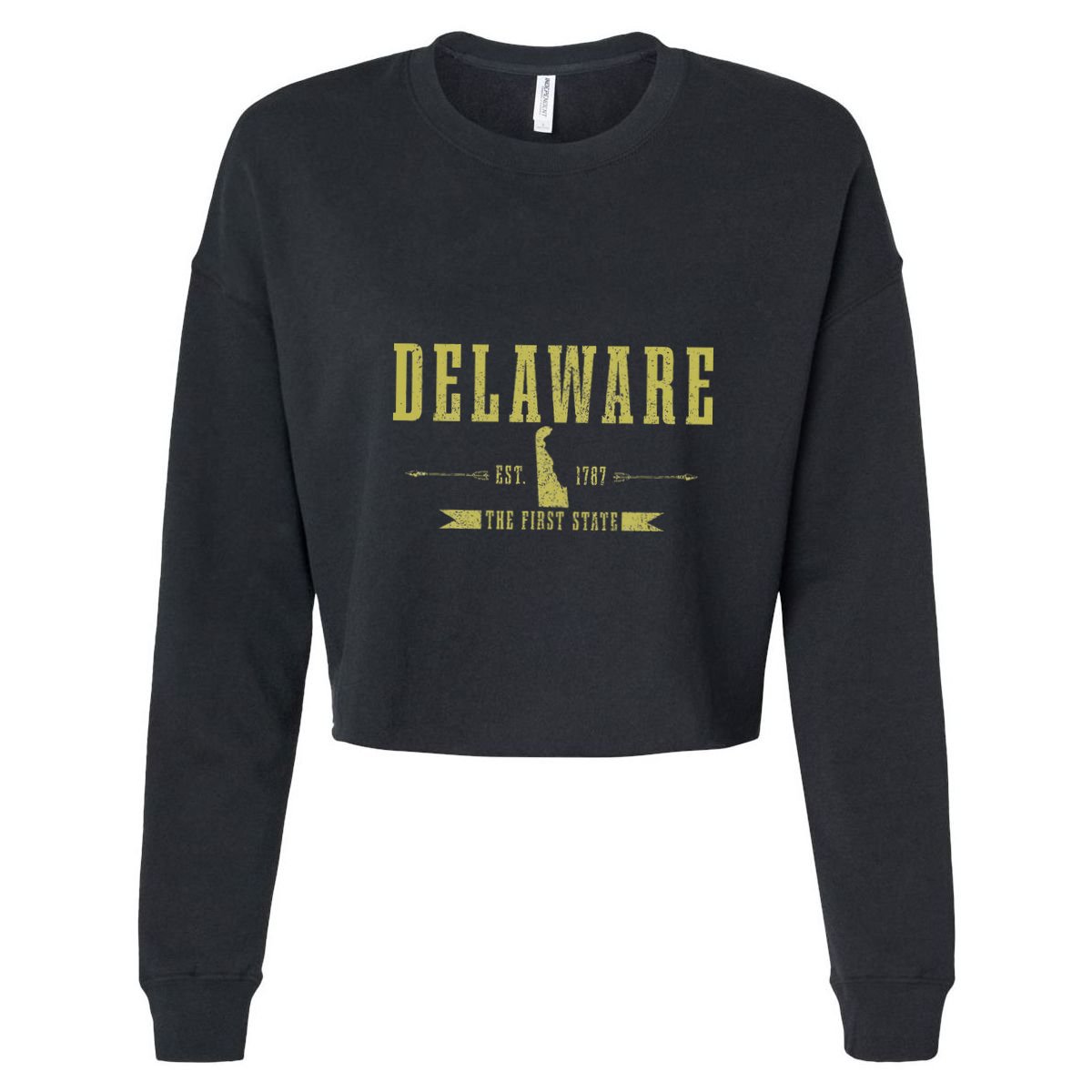 Delaware Est. 1787 The First State Pride State Map Vintage Hoodie