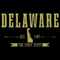 Delaware Est. 1787 The First State Pride State Map Vintage Bucket Hat