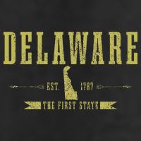 Delaware Est. 1787 The First State Pride State Map Vintage Beanie