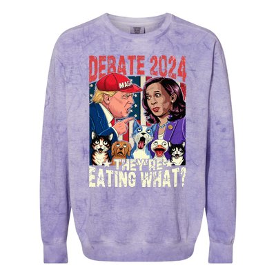 Debate Election 2024 Pets Dog Cat Theyre Eating What Colorblast Crewneck Sweatshirt