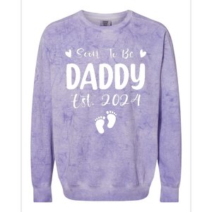 Dad Est 2024 Soon To Be Daddy Pregnancy Announcement Colorblast Crewneck Sweatshirt