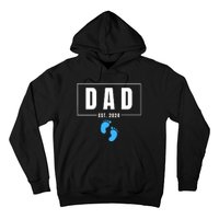 Dad Est. 2024 Fathers Day Expecting Baby Funny New Dad Baby Boy Hoodie