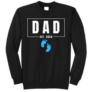 Dad Est. 2024 Fathers Day Expecting Baby Funny New Dad Baby Boy Sweatshirt