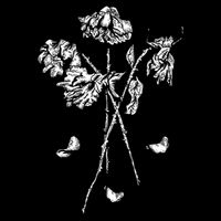 Dead Roses Cooling Performance Crew T-Shirt