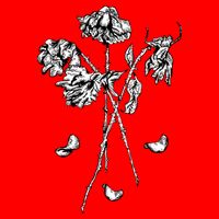 Dead Roses Baby Bodysuit