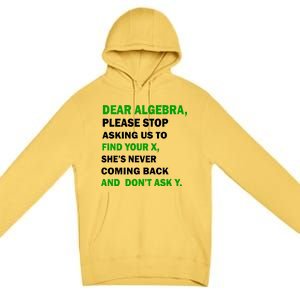 Dear Algebra Find Your X And Don't Tell Y Premium Pullover Hoodie