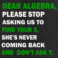 Dear Algebra Find Your X And Don't Tell Y Beanie