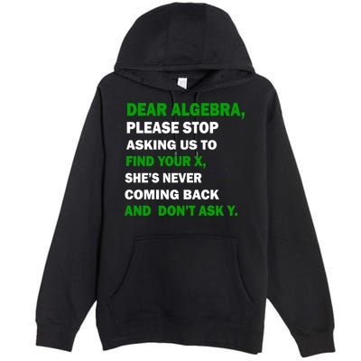Dear Algebra Find Your X And Don't Tell Y Premium Pullover Hoodie