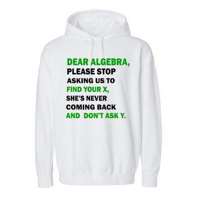 Dear Algebra Find Your X And Don't Tell Y Garment-Dyed Fleece Hoodie