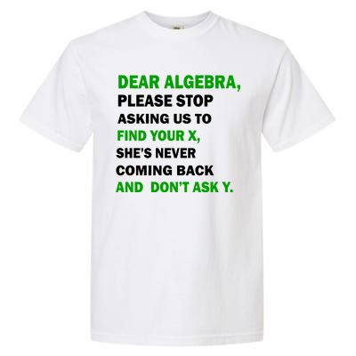 Dear Algebra Find Your X And Don't Tell Y Garment-Dyed Heavyweight T-Shirt