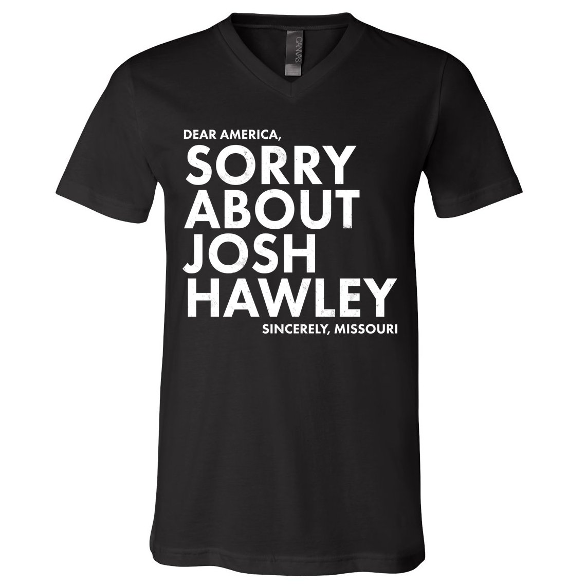 Dear America Sorry About Josh Hawley Sincerely Missouri  V-Neck T-Shirt