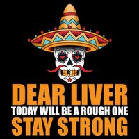 Dear Liver Today Will Be A Rough One Stay Strong1 USA-Made Doggie Bandana
