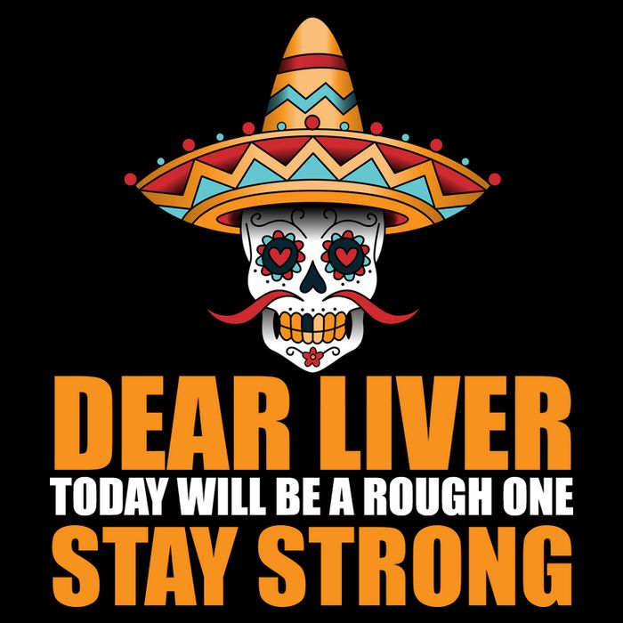 Dear Liver Today Will Be A Rough One Stay Strong1 USA-Made Doggie Bandana