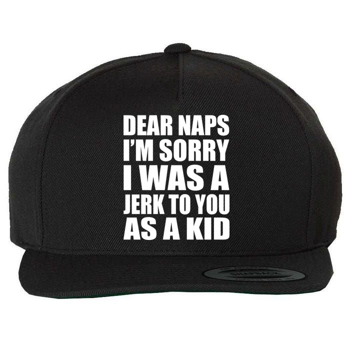 Dear Naps I'm Sorry I Was A Jerk Too You As A Kid Wool Snapback Cap