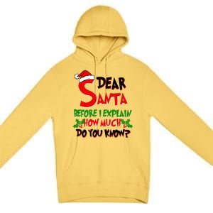 Dear Santa Before I Explain How Much Do You know Premium Pullover Hoodie