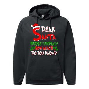 Dear Santa Before I Explain How Much Do You know Performance Fleece Hoodie